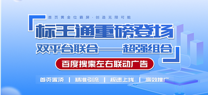 標(biāo)王